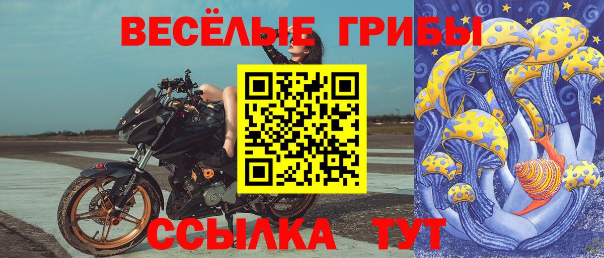 Галлюциногенные грибы Psilocybe Железногорск